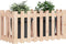 vidaXL - Plantenbak - verhoogd - met - hekontwerp - 100x50x50 - cm - grenenhout