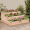 vidaXL - Plantenbak - verhoogd - met - voering - 120x120x56 - cm - massief - vurenhout