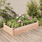vidaXL - Plantenbak - verhoogd - met - voering - 120x60x25 - cm - massief - vurenhout
