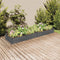 vidaXL - Plantenbak - verhoogd - met - voering - 240x60x25 - cm - vurenhout - grijs