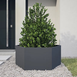 vidaXL - Plantenbak - zeshoek - 104x90x45 - cm - staal - antracietkleurig