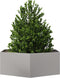 vidaXL - Plantenbak - zeshoek - 138x120x45 - cm - roestvrijstaal