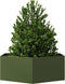 vidaXL - Plantenbak - zeshoek - 138x120x45 - cm - staal - olijfgroen