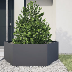 vidaXL - Plantenbak - zeshoek - 138x120x45 - cm - staal - antracietkleurig