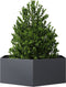 vidaXL - Plantenbak - zeshoek - 138x120x45 - cm - staal - antracietkleurig