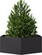 vidaXL - Plantenbak - zeshoek - 138x120x45 - cm - staal - zwart