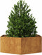 vidaXL - Plantenbak - zeshoek - 138x120x45 - cm - weervast - staal