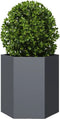 vidaXL - Plantenbak - zeshoek - 46x40x45 - cm - staal - antracietkleurig