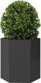 vidaXL - Plantenbak - zeshoek - 46x40x45 - cm - staal - zwart