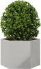 vidaXL - Plantenbak - zeshoek - 69x60x45 - cm - roestvrijstaal