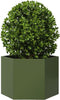 vidaXL - Plantenbak - zeshoek - 69x60x45 - cm - staal - olijfgroen