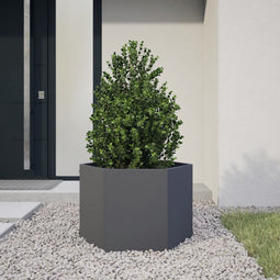 vidaXL - Plantenbak - zeshoek - 69x60x45 - cm - staal - antracietkleurig