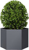 vidaXL - Plantenbak - zeshoek - 69x60x45 - cm - staal - antracietkleurig