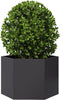 vidaXL - Plantenbak - zeshoek - 69x60x45 - cm - staal - zwart
