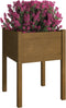 vidaXL - Plantenbaken - 2 - st - 50x50x70 - cm - massief - grenenhout - honingbruin