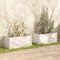 vidaXL - Plantenbakken - 2 - st - 100x50x50 - cm - massief - grenenhout - wit