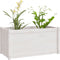 vidaXL - Plantenbakken - 2 - st - 100x50x50 - cm - massief - grenenhout - wit