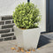 vidaXL - Plantenbakken - 2 - st - 30x30x30 - cm - roestvrij - staal