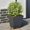 vidaXL - Plantenbakken - 2 - st - 30x30x30 - cm - staal - antracietkleurig