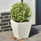 vidaXL - Plantenbakken - 2 - st - 30x30x30 - cm - staal - wit