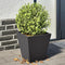 vidaXL - Plantenbakken - 2 - st - 30x30x30 - cm - staal - zwart