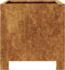 vidaXL - Plantenbakken - 2 - st - 30x30x30 - cm - weervast - staal