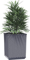 vidaXL - Plantenbakken - 2 - st - 30x30x37 - cm - polypropeen - donkergrijs
