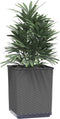 vidaXL - Plantenbakken - 2 - st - 30x30x37 - cm - polypropeen - zwart