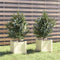 vidaXL - Plantenbakken - 2 - st - 31x31x31 - cm - massief - grenenhout - wit