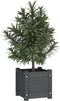 vidaXL - Plantenbakken - 2 - st - 31x31x31 - cm - massief - grenenhout - grijs