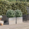 vidaXL - Plantenbakken - 2 - st - 32x30x29 - cm - roestvrij - staal - zilverkleurig