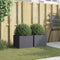 vidaXL - Plantenbakken - 2 - st - 32x30x29 - cm - staal - antracietkleurig