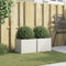 vidaXL - Plantenbakken - 2 - st - 32x30x29 - cm - staal - wit