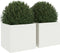 vidaXL - Plantenbakken - 2 - st - 32x30x29 - cm - staal - wit
