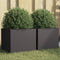 vidaXL - Plantenbakken - 2 - st - 32x30x29 - cm - staal - zwart