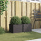 vidaXL - Plantenbakken - 2 - st - 32x30x29 - cm - staal - zwart