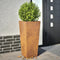 vidaXL - Plantenbakken - 2 - st - 35x35x75 - cm - weervast - staal