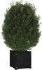 vidaXL - Plantenbakken - 2 - st - 40x40x40 - cm - massief - grenenhout - zwart