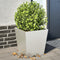 vidaXL - Plantenbakken - 2 - st - 40x40x40 - cm - roestvrij - staal