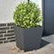 vidaXL - Plantenbakken - 2 - st - 40x40x40 - cm - staal - antracietkleurig