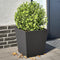 vidaXL - Plantenbakken - 2 - st - 40x40x40 - cm - staal - zwart