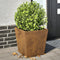 vidaXL - Plantenbakken - 2 - st - 40x40x40 - cm - weervast - staal