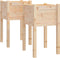 vidaXL - Plantenbakken - 2 - st - 40x40x70 - cm - massief - grenenhout