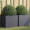 vidaXL - Plantenbakken - 2 - st - 49x47x46 - cm - staal - antracietkleurig