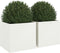 vidaXL - Plantenbakken - 2 - st - 49x47x46 - cm - staal - wit