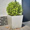 vidaXL - Plantenbakken - 2 - st - 50x50x50 - cm - roestvrij - staal