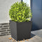 vidaXL - Plantenbakken - 2 - st - 50x50x50 - cm - staal - zwart