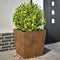 vidaXL - Plantenbakken - 2 - st - 50x50x50 - cm - weervast - staal