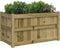 vidaXL - Plantenbakken - 2 - st - cm - geïmpregneerd - hout