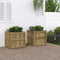 vidaXL - Plantenbakken - 2 - st - cm - geïmpregneerd - hout